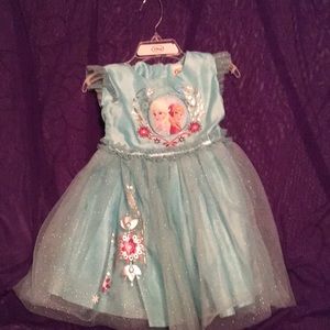 Elsa Princess dress